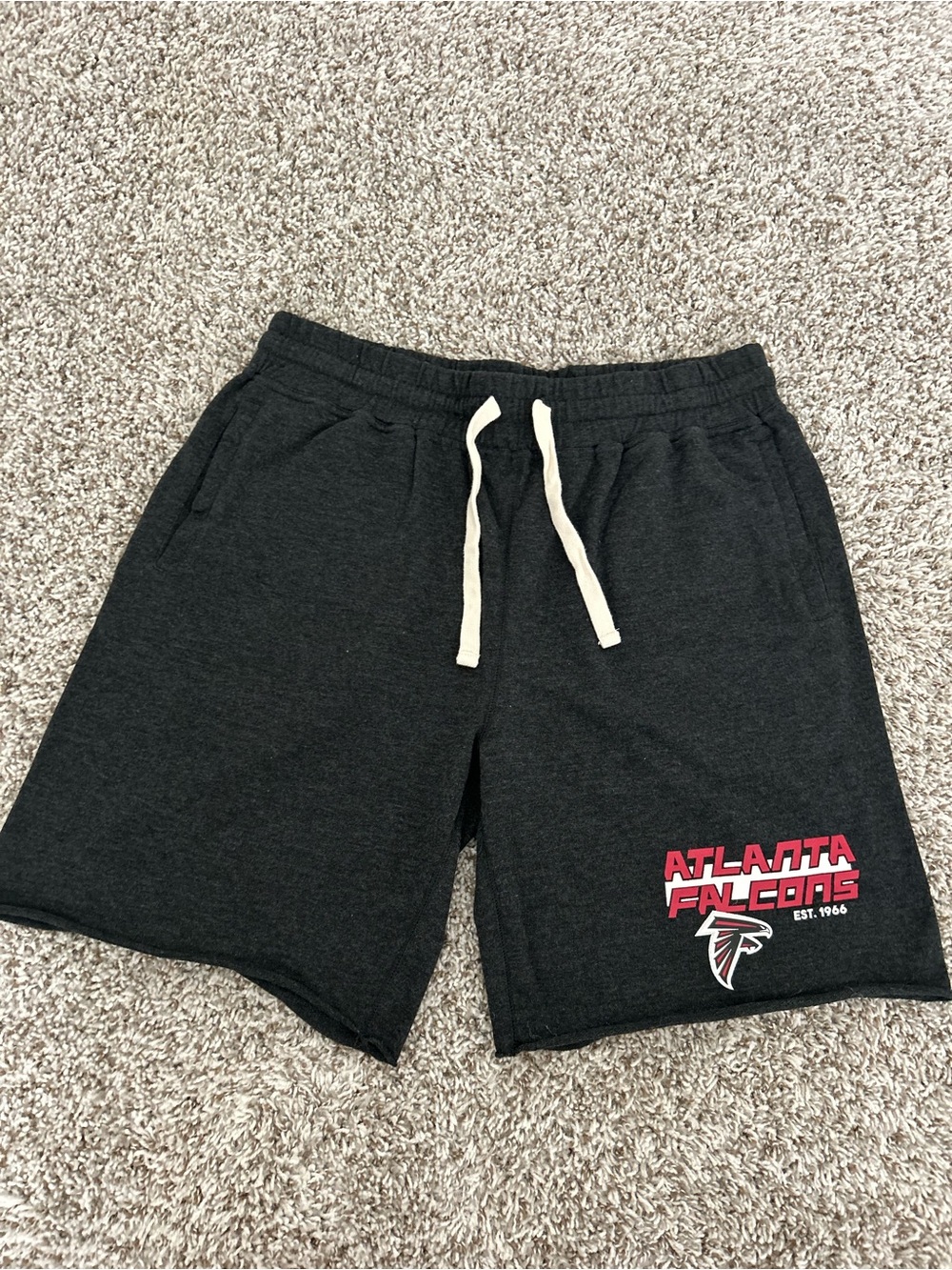 Atlanta Falcons Fleece Shorts Size Large Men's NFL Team Apparel 9” Inseam